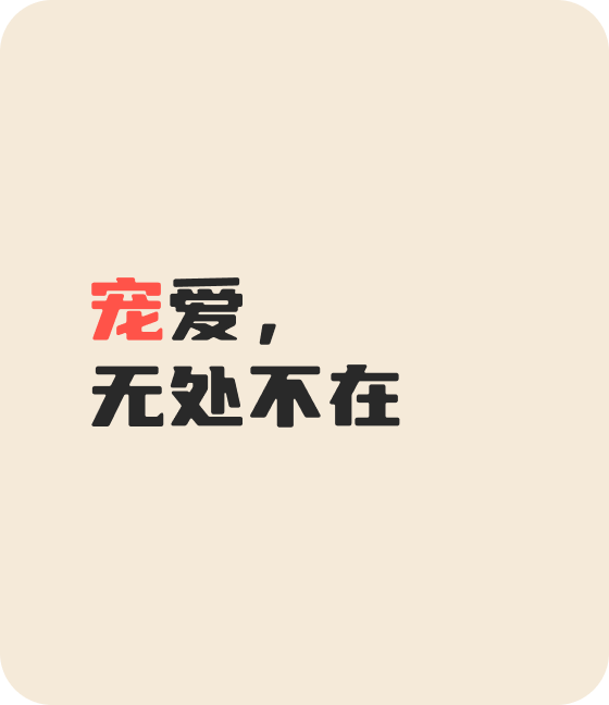 LEJING.COM宠物，无处不在