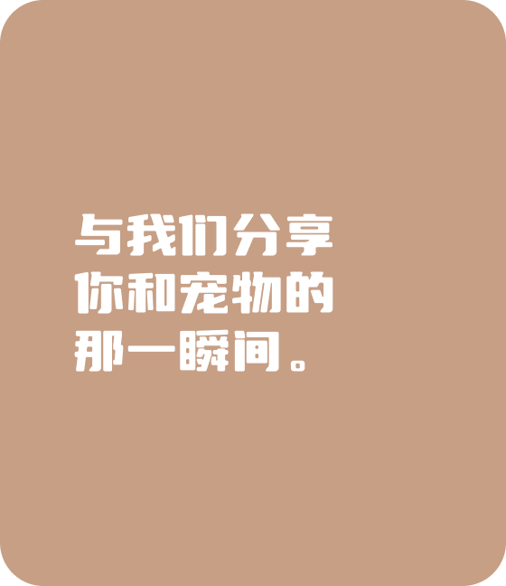 LEJING.COM宠物，无处不在